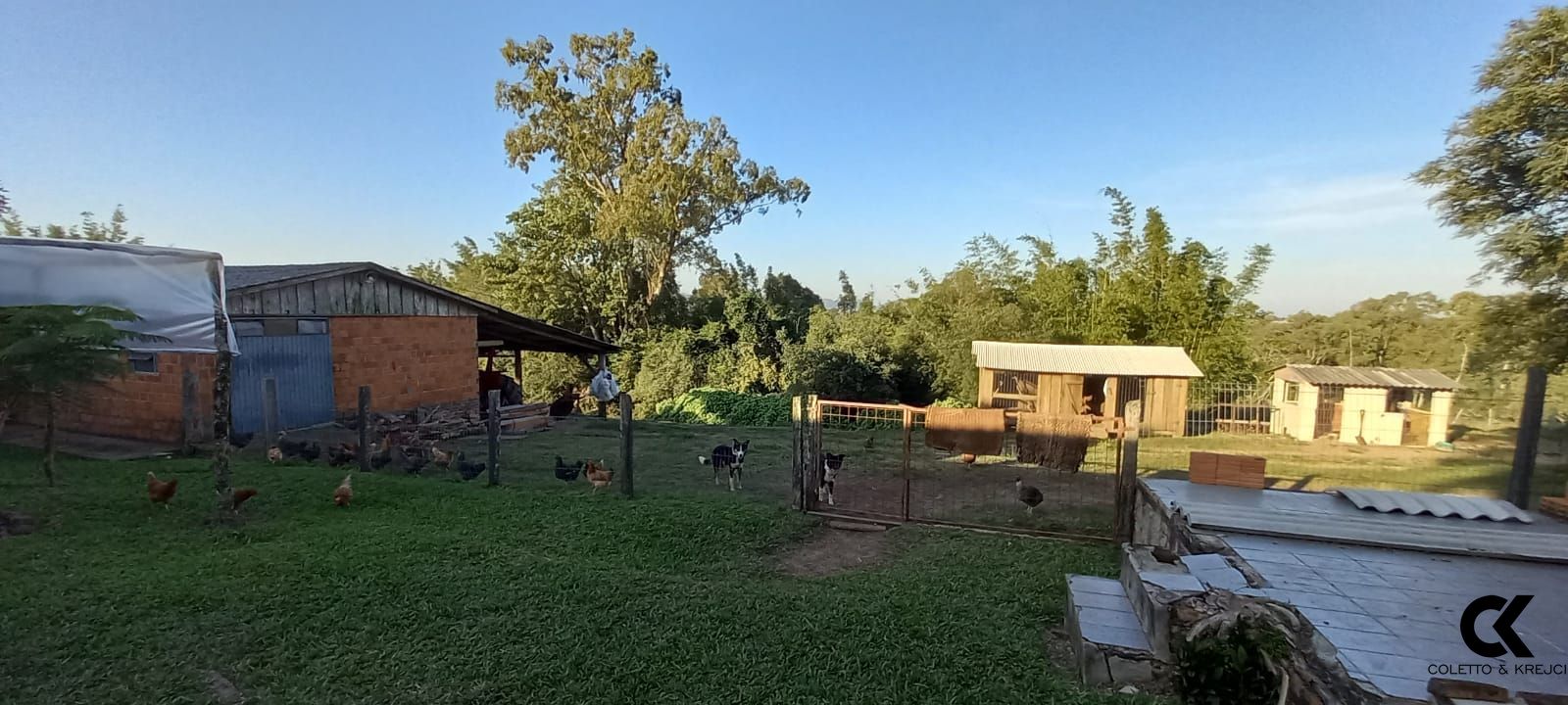 Fazenda à venda com 5 quartos, 700m² - Foto 15