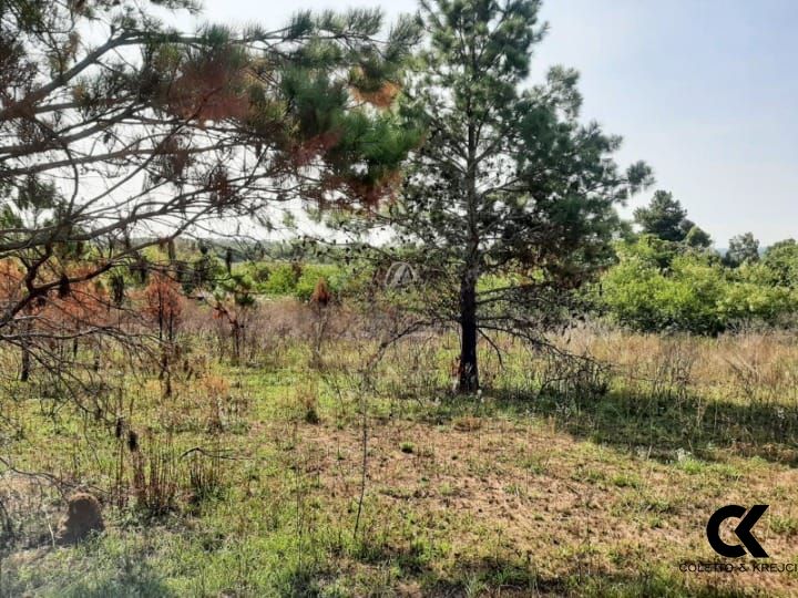 Loteamento e Condomínio, 2000 m² - Foto 2