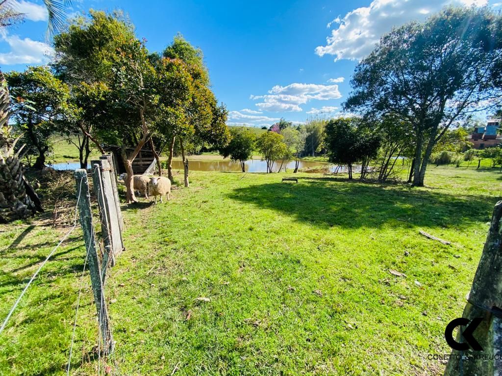 Fazenda à venda com 3 quartos, 195m² - Foto 7