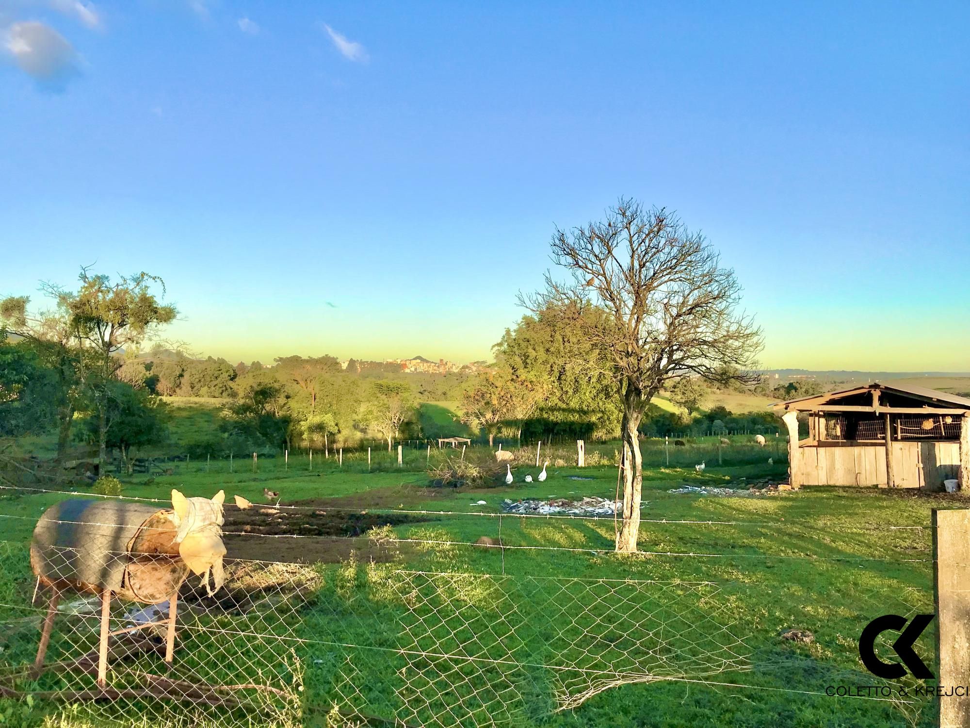 Fazenda à venda com 3 quartos, 185000m² - Foto 3