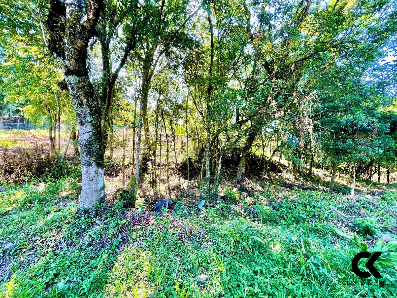 Terreno, 9 m² - Foto 5