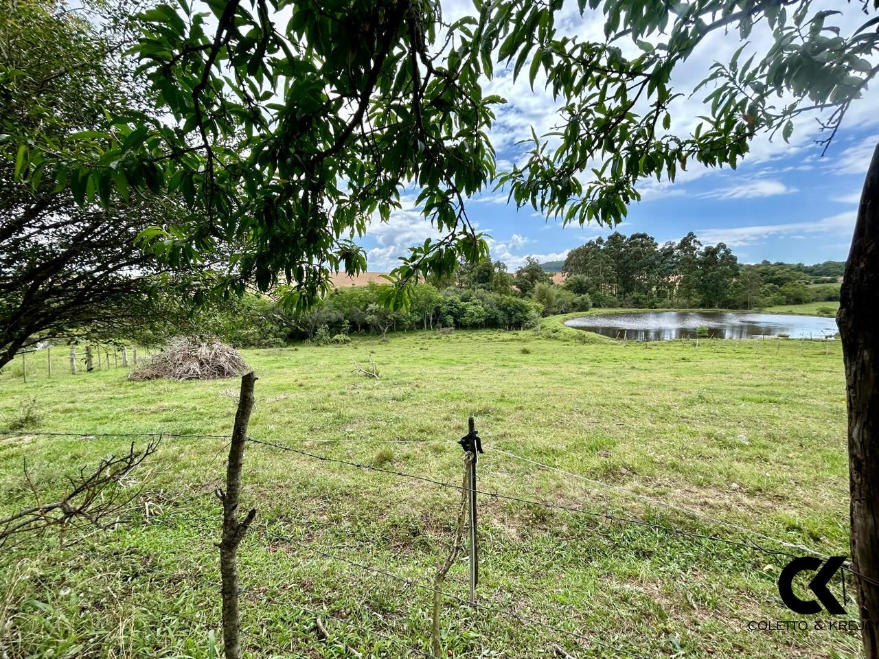 Fazenda à venda com 3 quartos, 15000m² - Foto 20