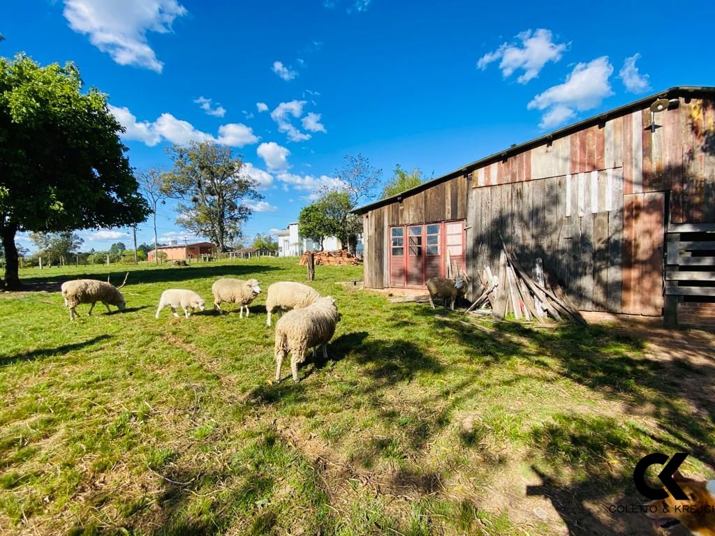 Chácara à venda com 3 quartos, 195m² - Foto 5