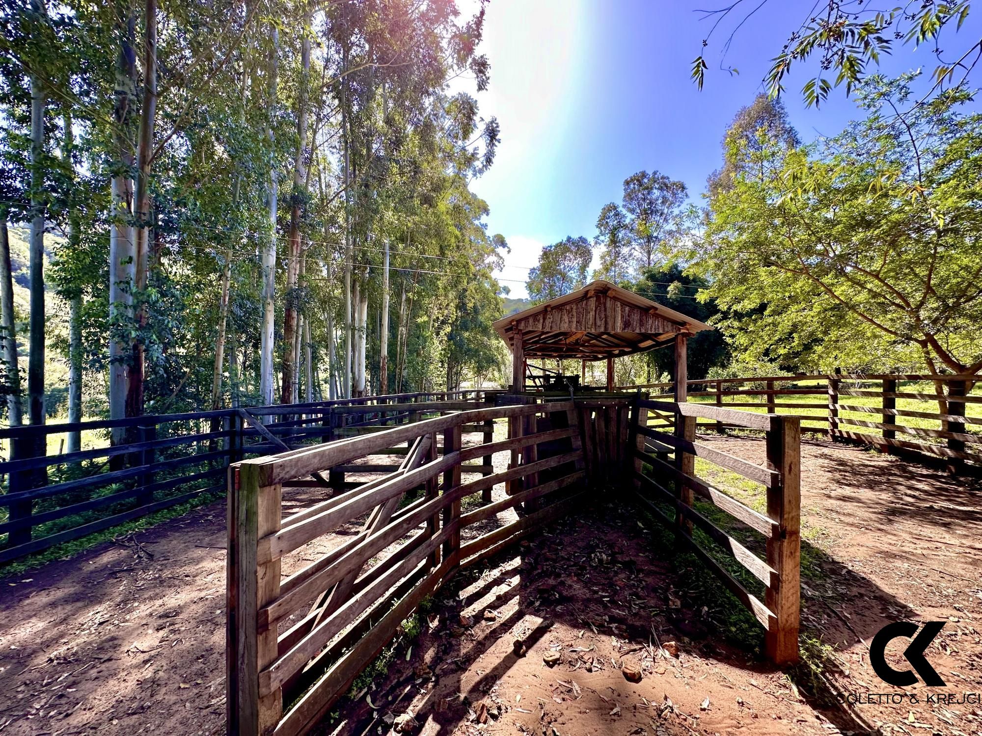 Fazenda à venda com 4 quartos, 240000m² - Foto 17