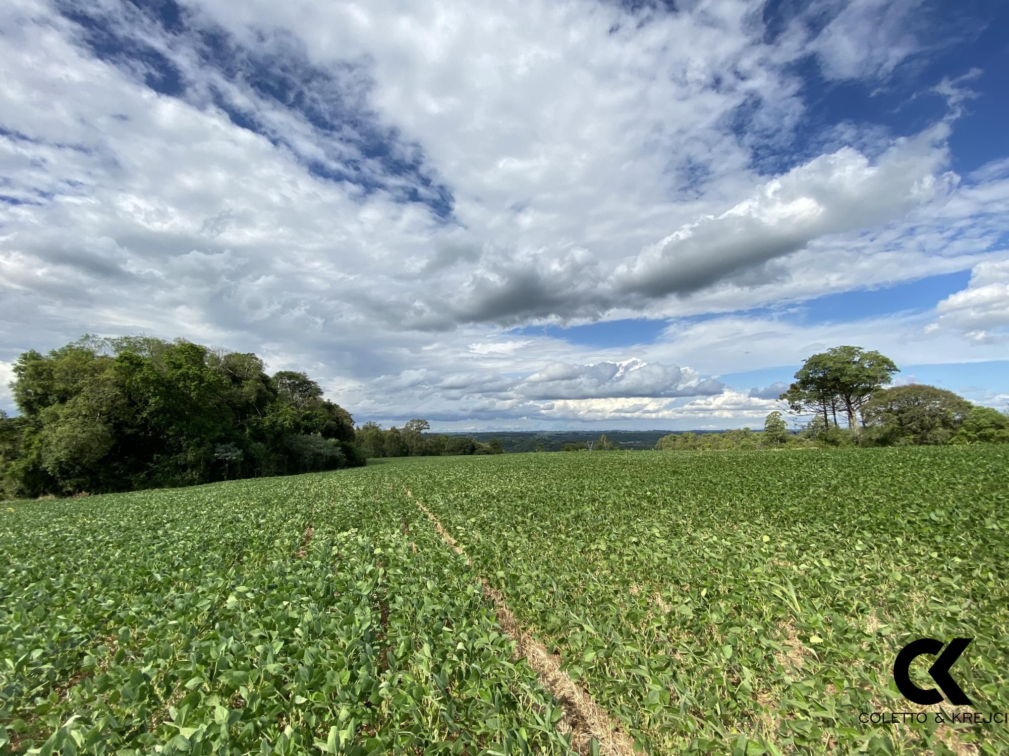 Loteamento e Condomínio à venda, 78000m² - Foto 6