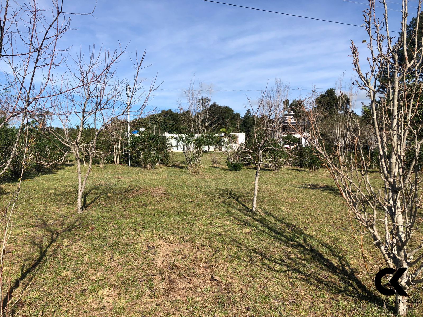 Fazenda à venda com 1 quarto, 10000m² - Foto 14