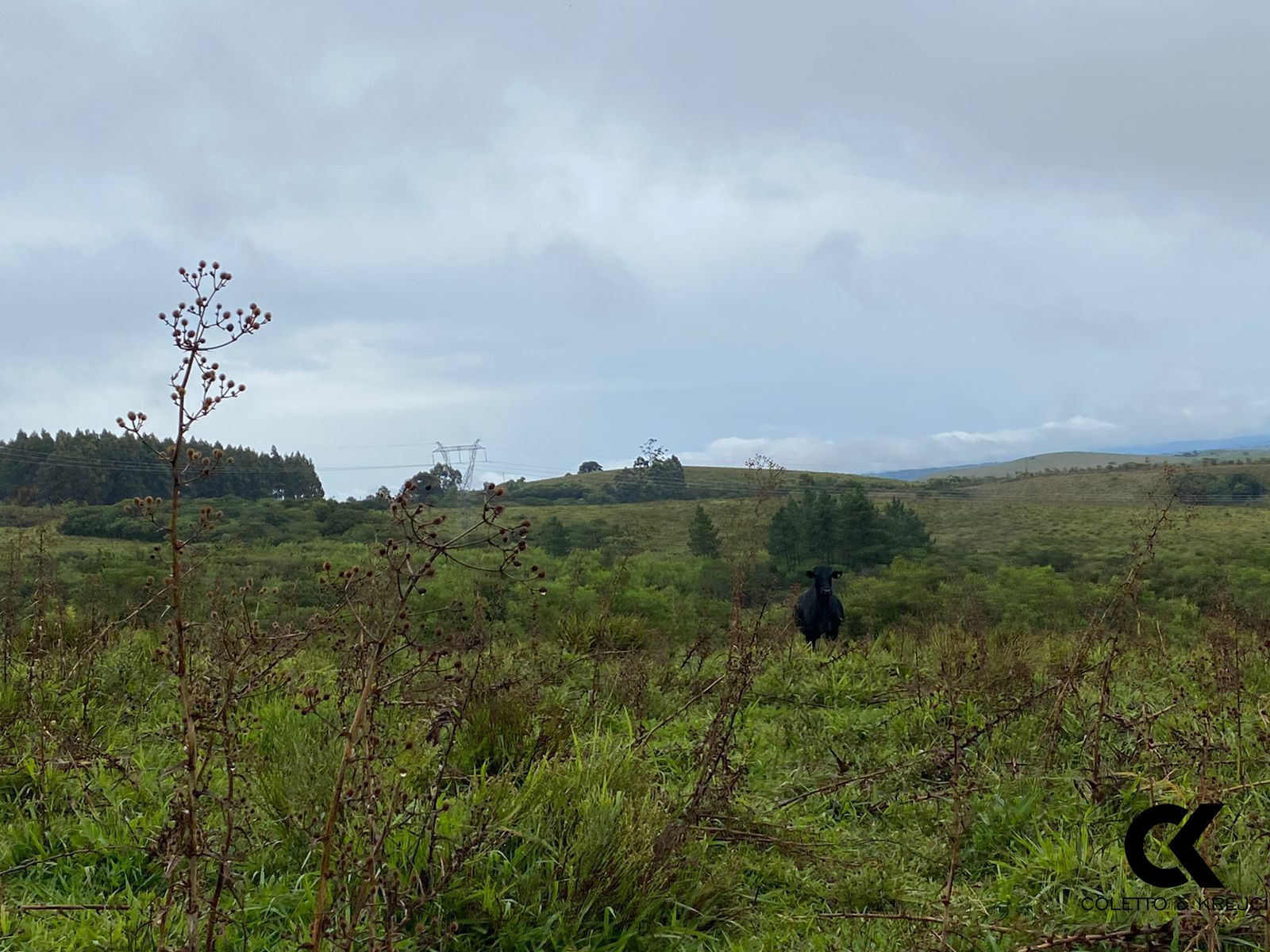 Fazenda à venda com 3 quartos, 5000000m² - Foto 8