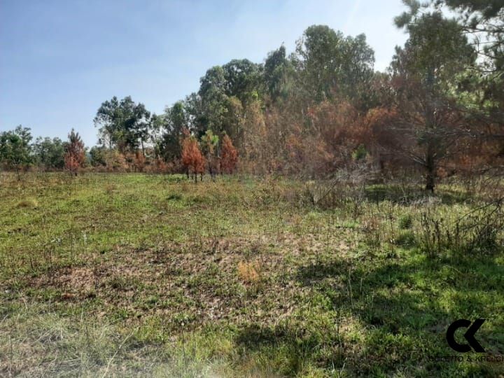 Loteamento e Condomínio, 2000 m² - Foto 4