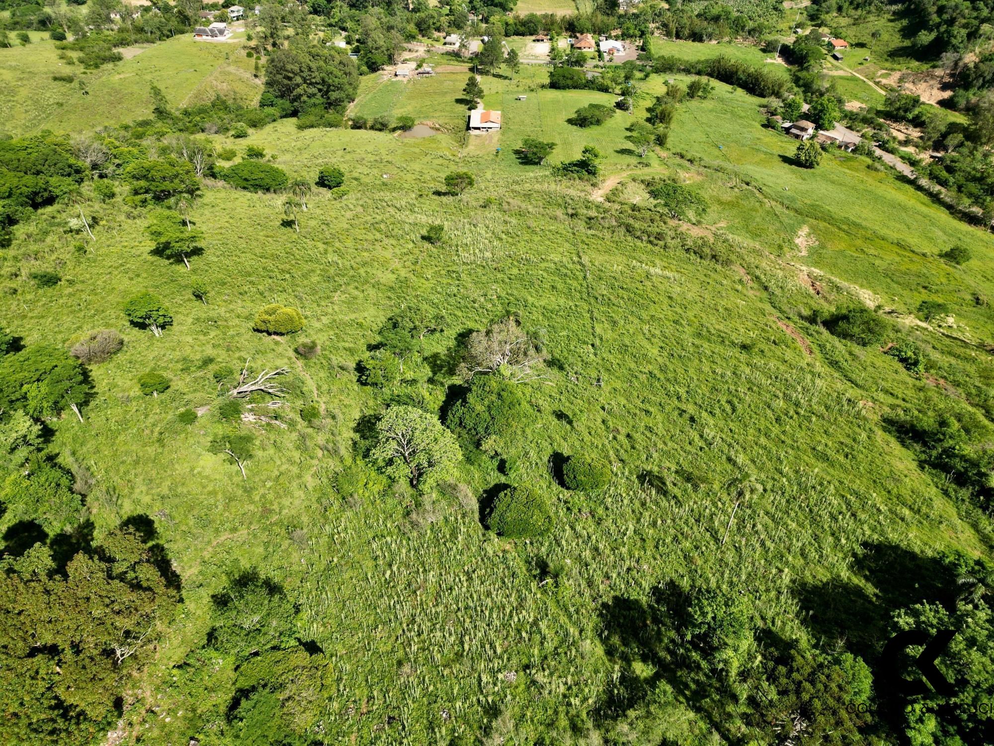 Fazenda à venda, 300m² - Foto 7