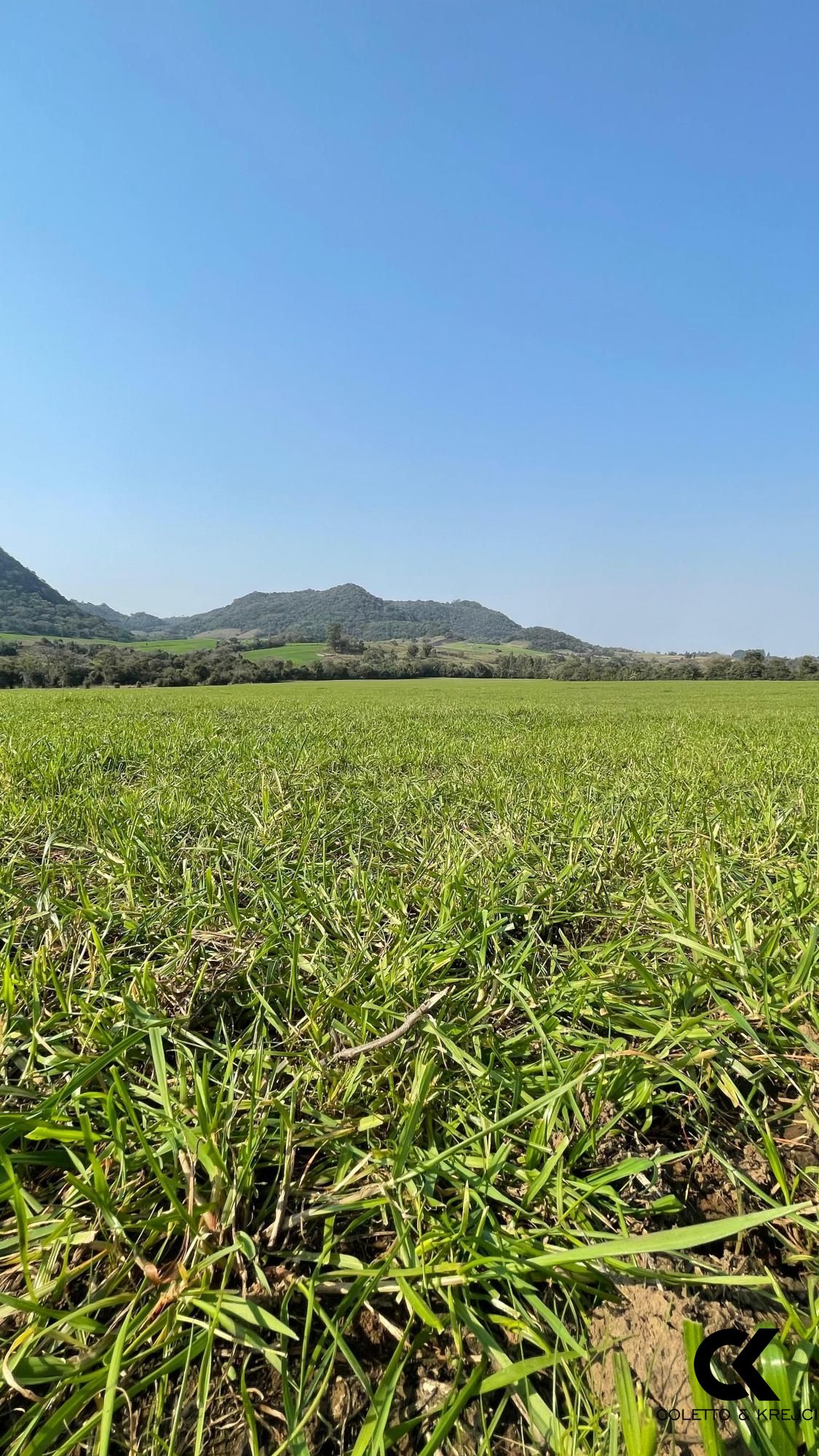 Terreno à venda, 330m² - Foto 2