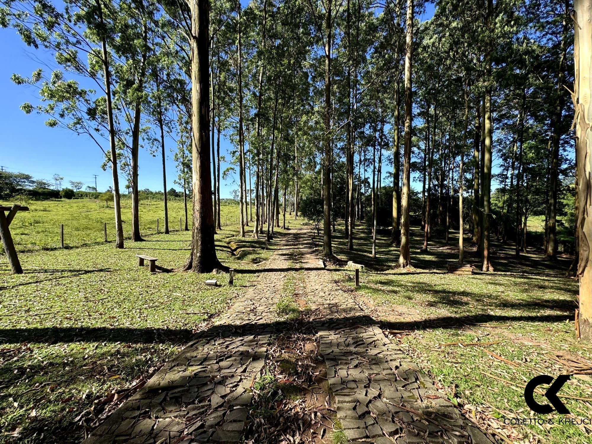 Chácara à venda com 2 quartos, 200m² - Foto 13