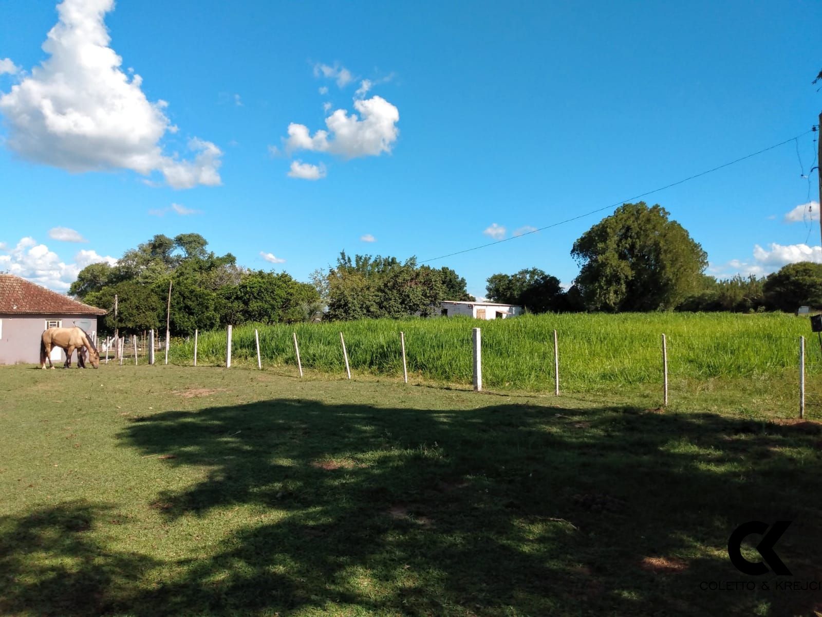 Fazenda à venda com 3 quartos, 30000m² - Foto 2