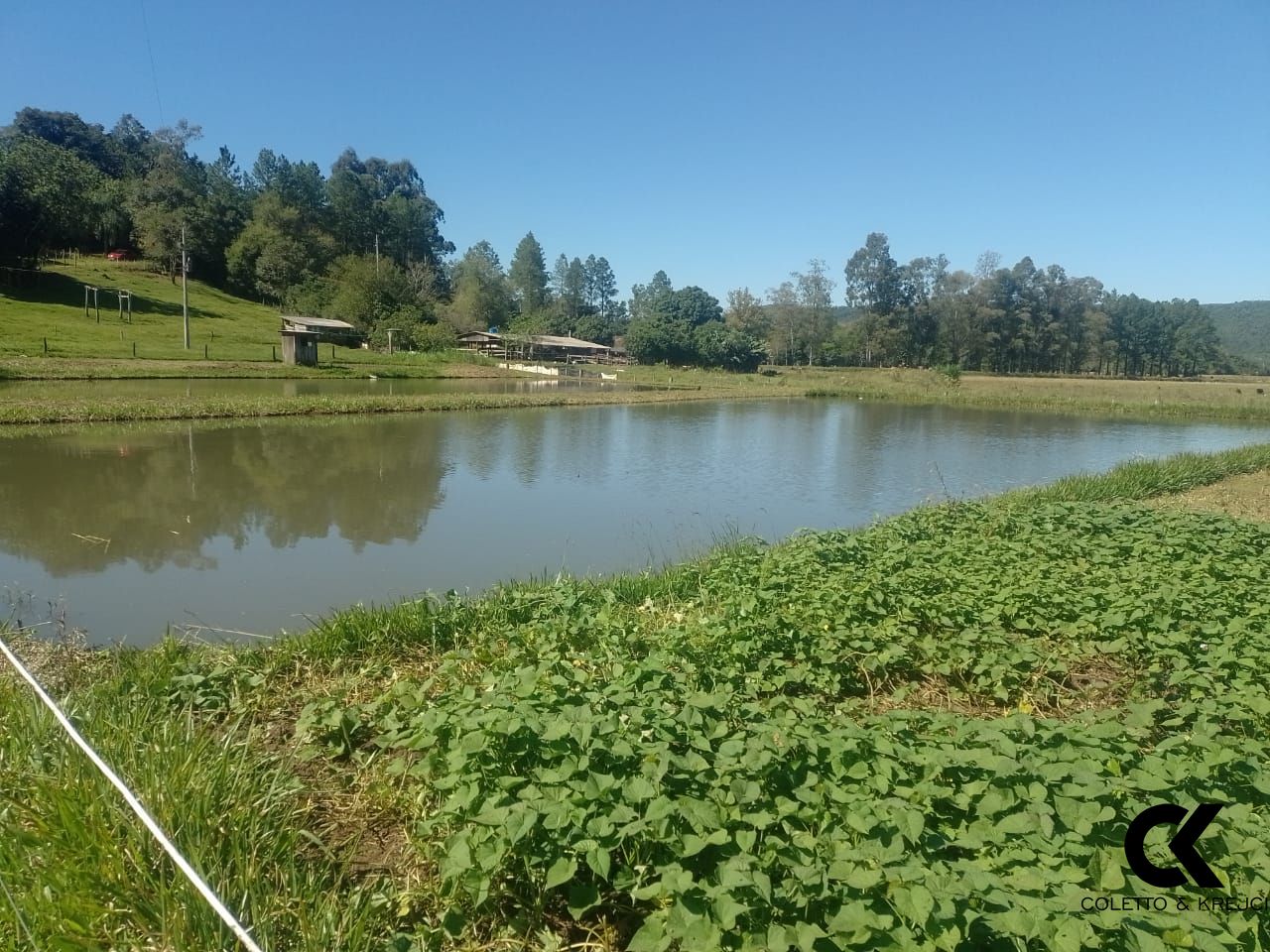 Fazenda à venda com 2 quartos, 42m² - Foto 16