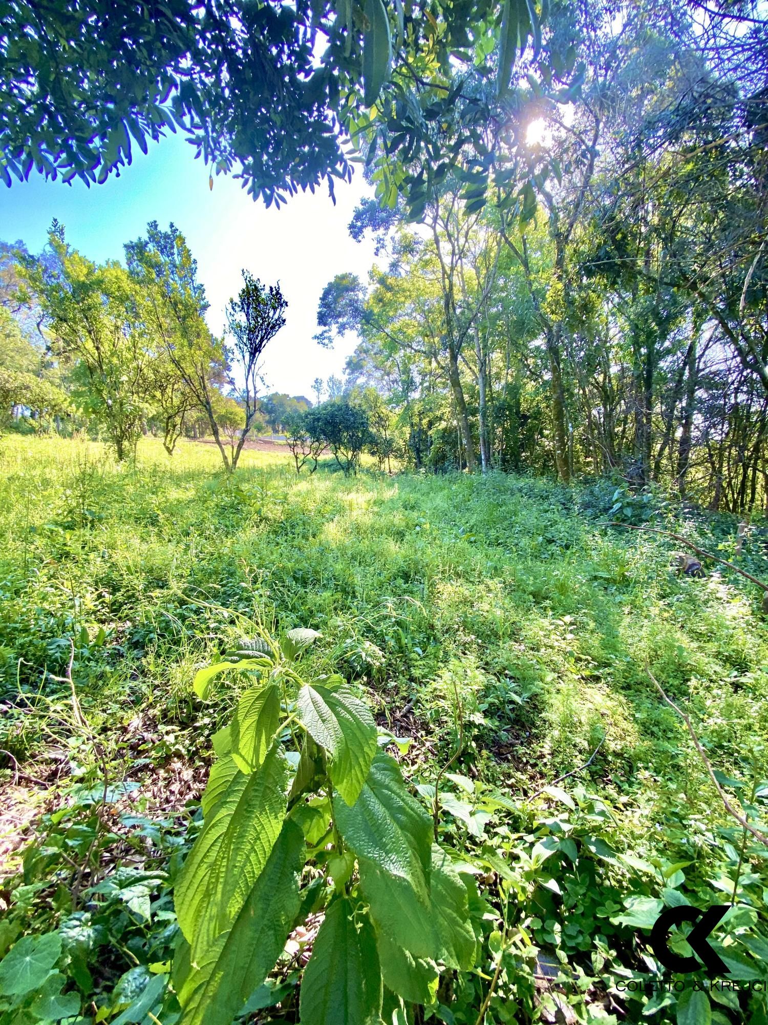 Terreno, 360 m² - Foto 1