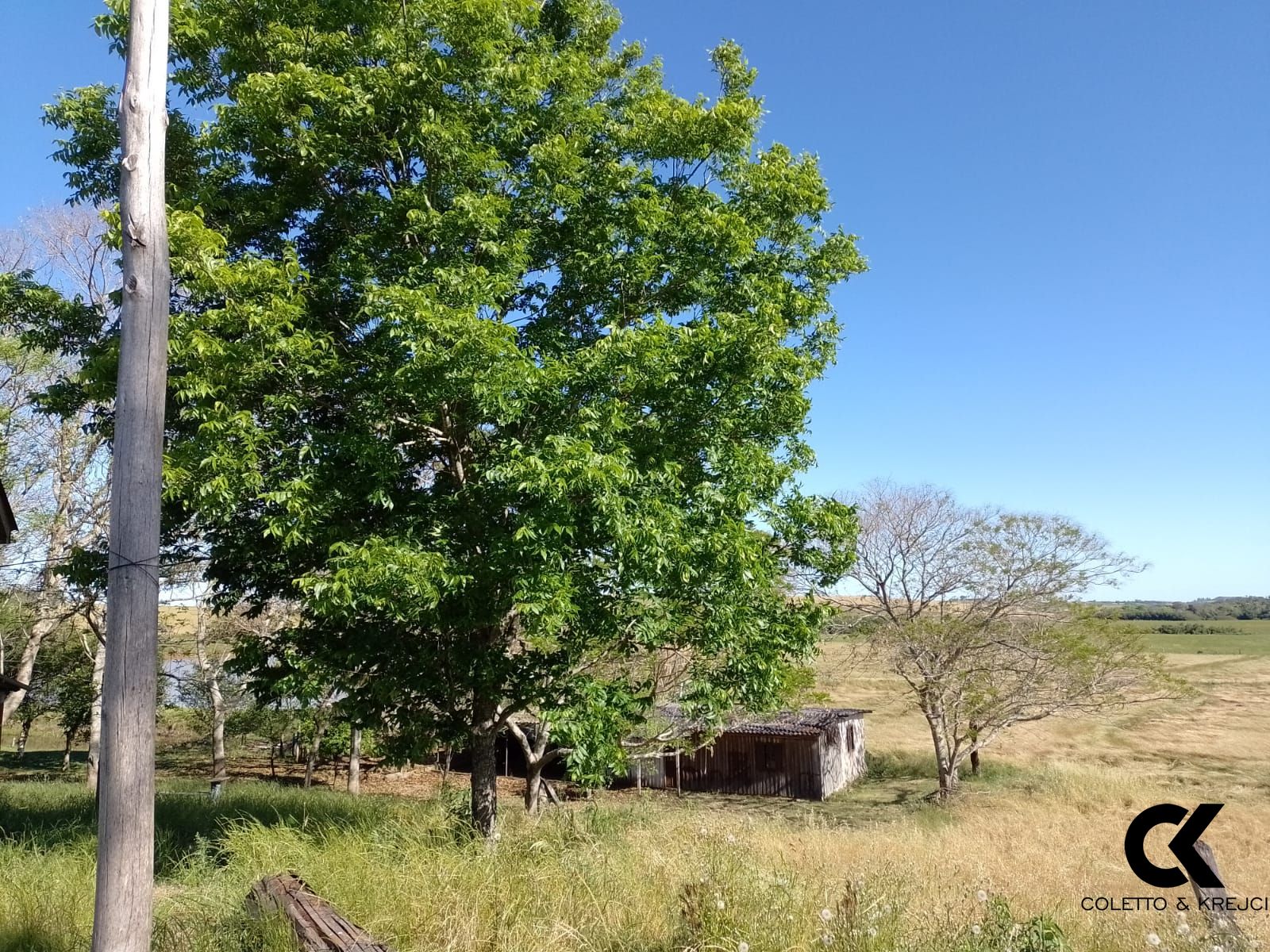 Fazenda à venda com 2 quartos, 130000m² - Foto 3