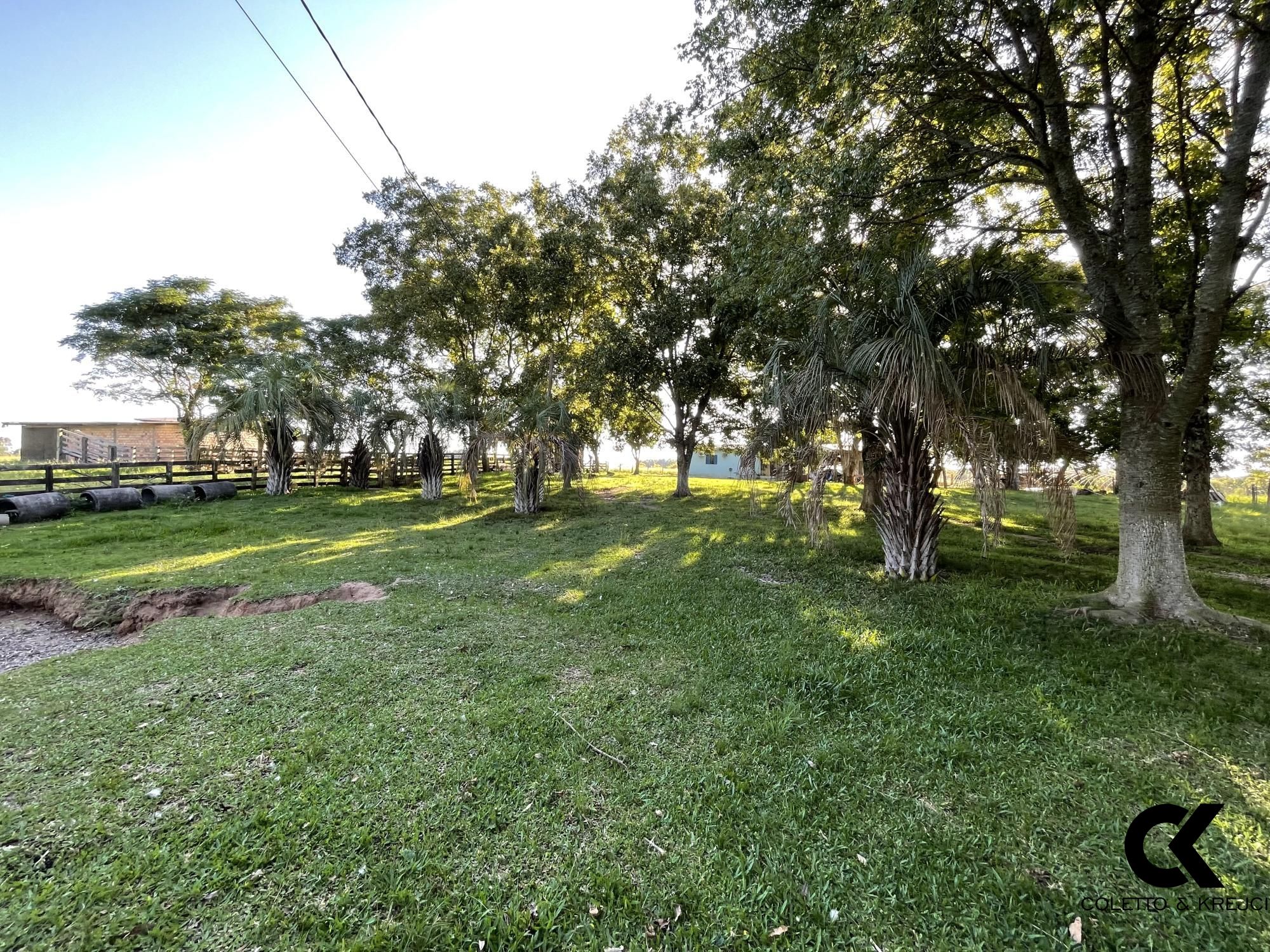 Fazenda à venda com 3 quartos, 146000m² - Foto 10