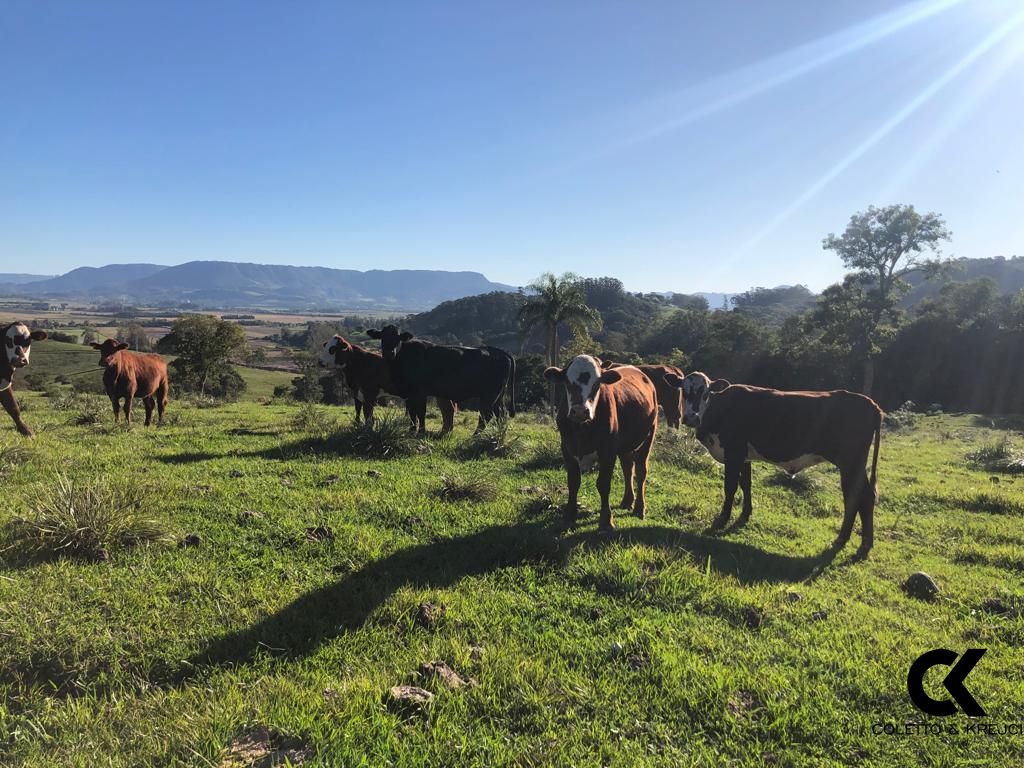 Loteamento e Condomínio à venda, 480000m² - Foto 5