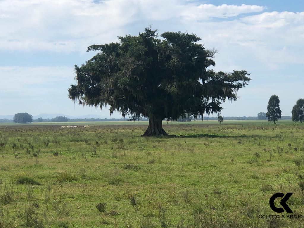 Fazenda à venda com 3 quartos, 32750000m² - Foto 7