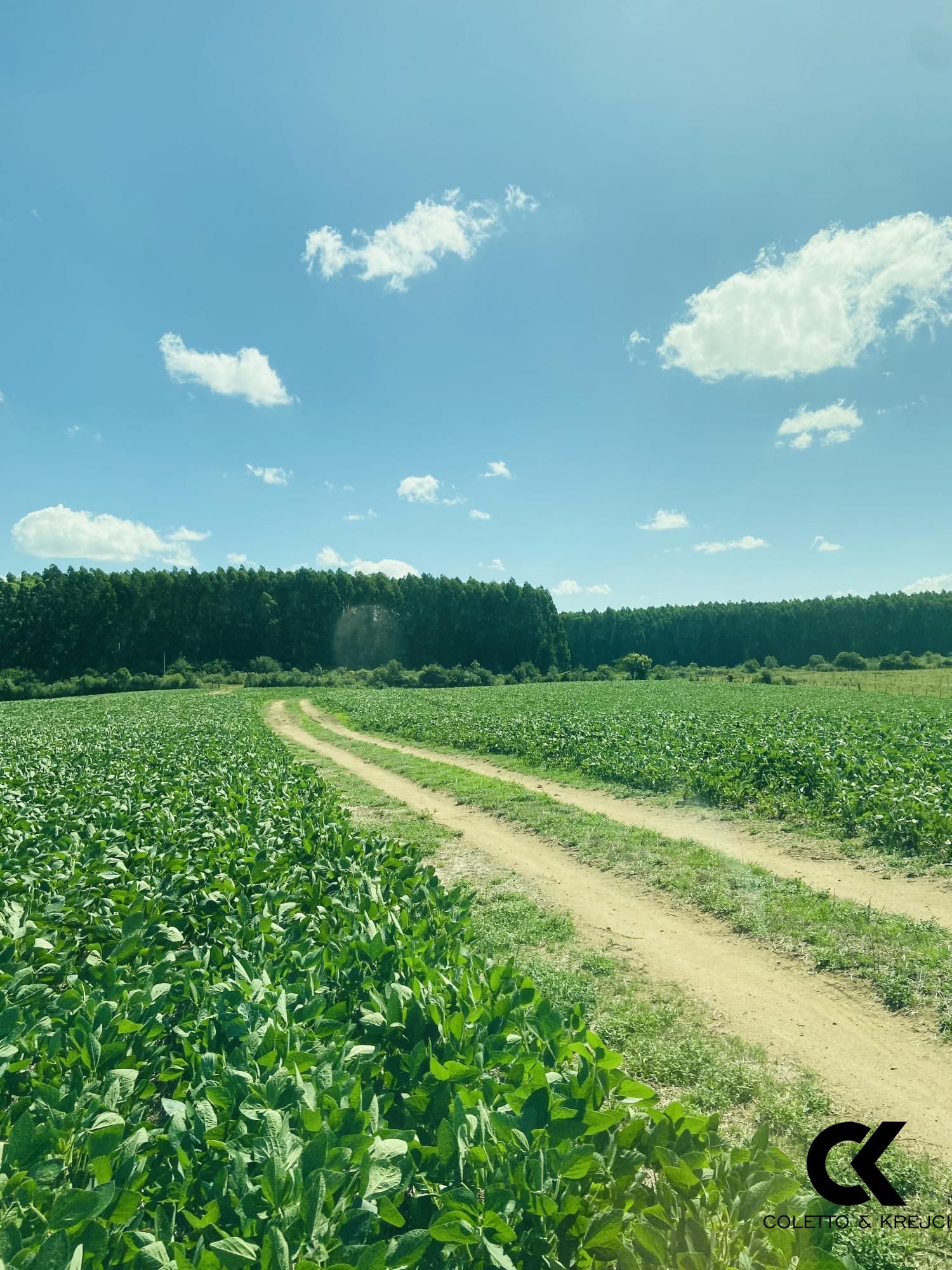 Fazenda à venda com 7 quartos, 8750000m² - Foto 6