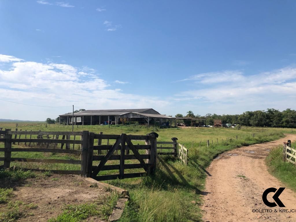 Fazenda à venda com 3 quartos, 32750000m² - Foto 19