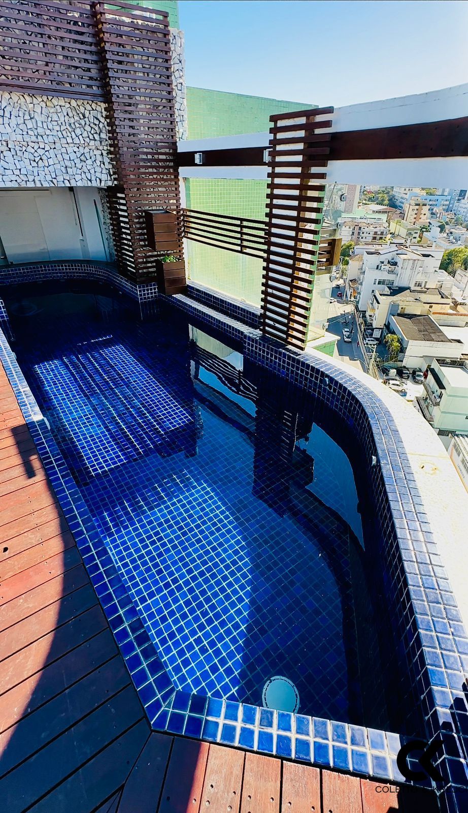 Cobertura, 3 quartos, 366 m² - Foto 5