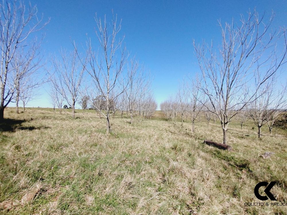 Chácara, 12 m² - Foto 13