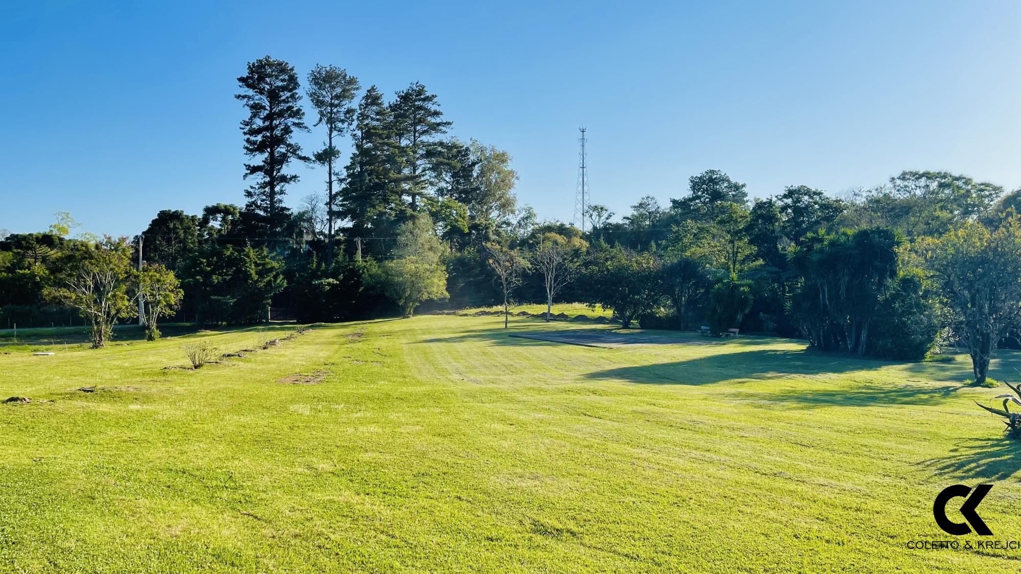 Sítio, 3 quartos, 4 hectares - Foto 13