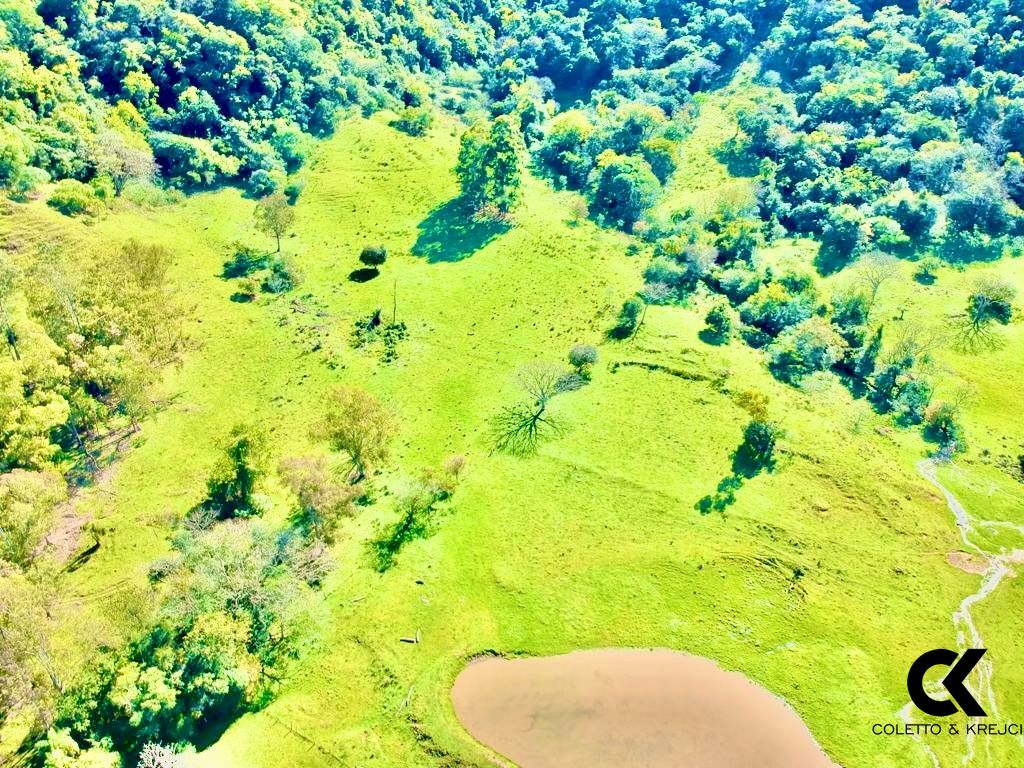 Fazenda à venda com 4 quartos, 240000m² - Foto 25