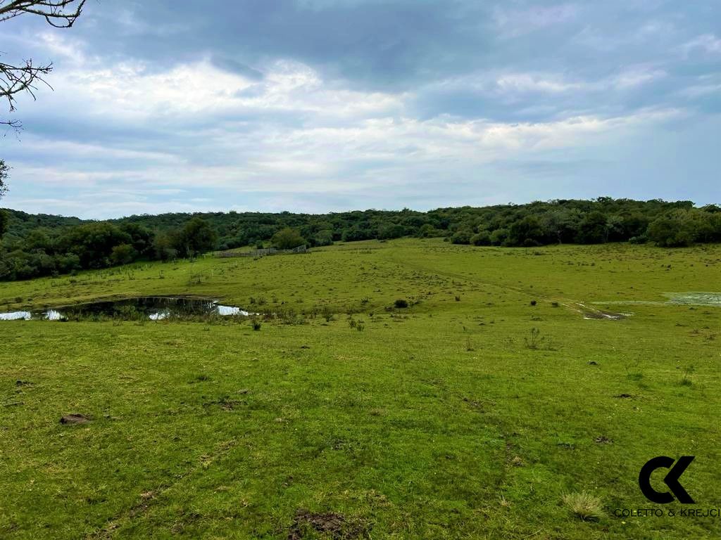 Sítio, 108 hectares - Foto 11