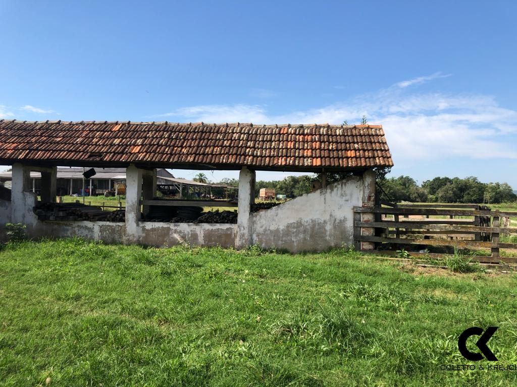 Fazenda à venda com 3 quartos, 32750000m² - Foto 16