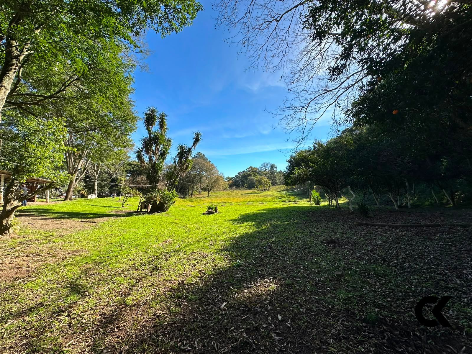 Chácara, 3 hectares - Foto 1