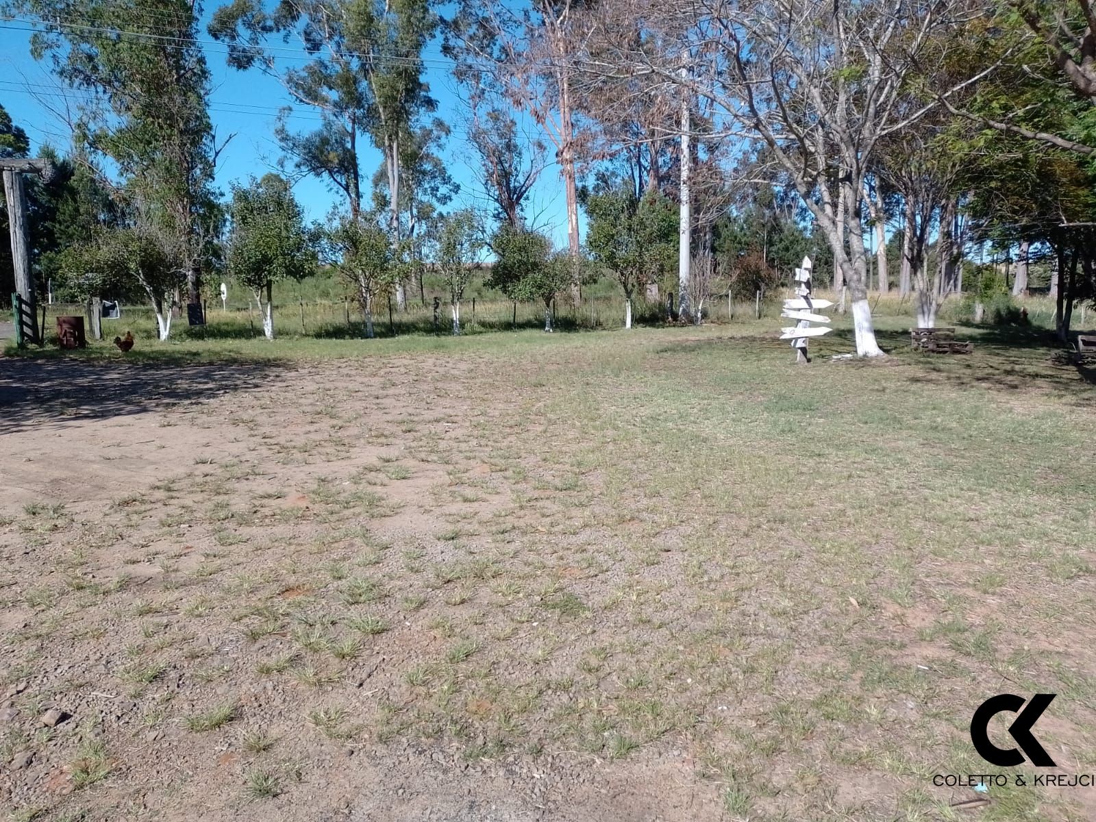 Fazenda à venda com 2 quartos, 130000m² - Foto 4