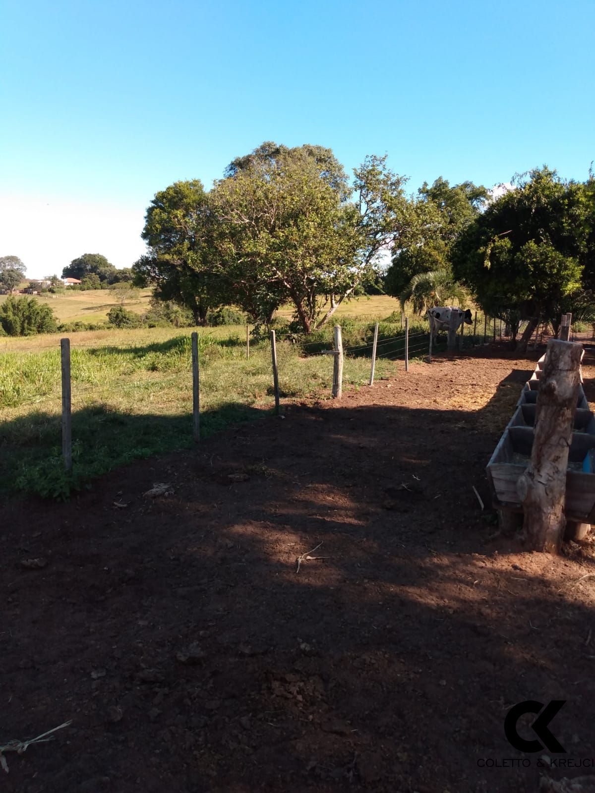 Fazenda à venda com 3 quartos, 30000m² - Foto 21