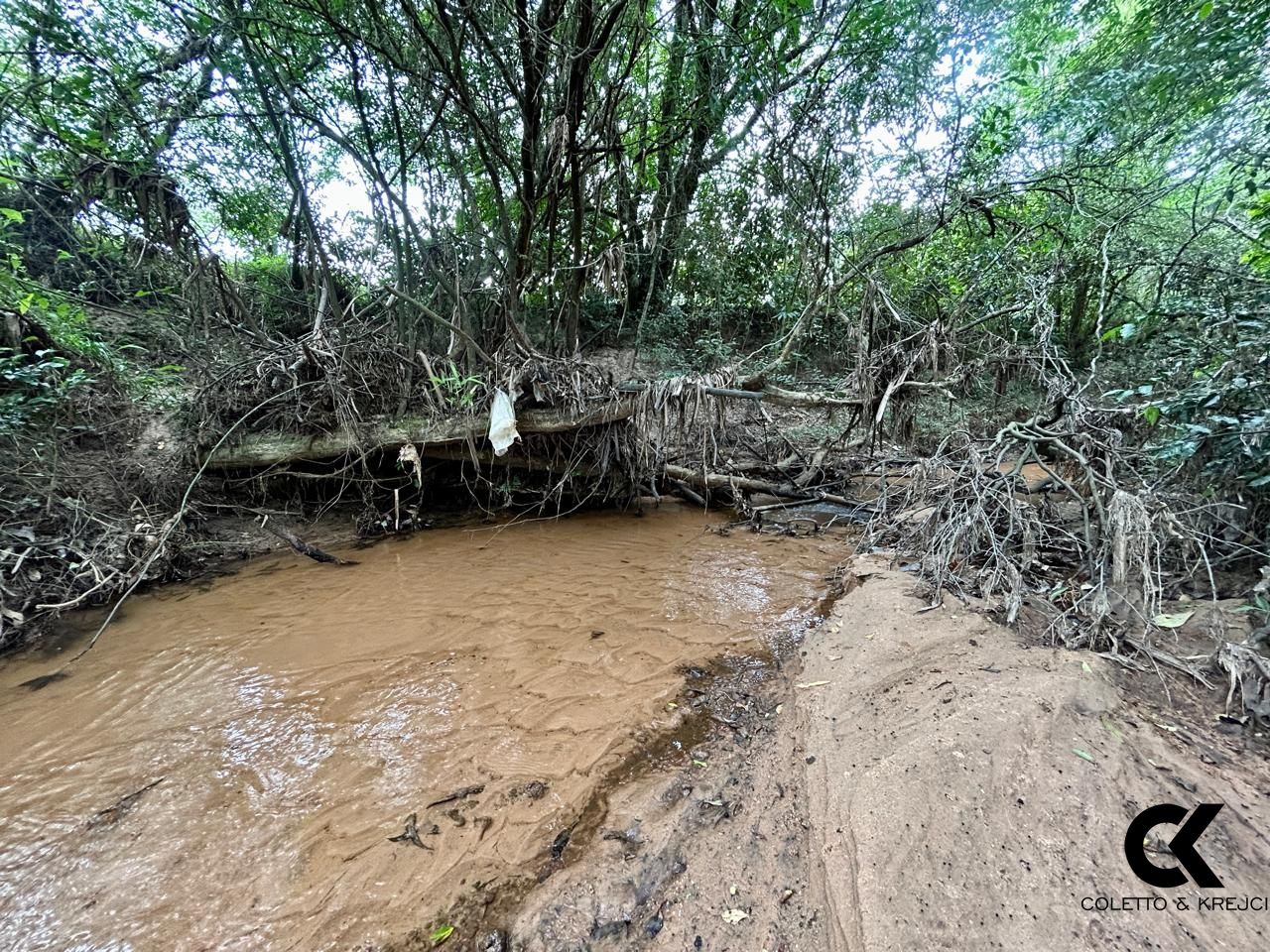 Fazenda à venda com 3 quartos, 15000m² - Foto 24