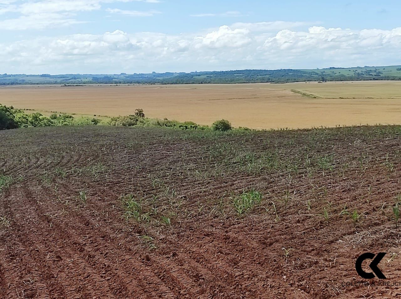 Fazenda à venda com 3 quartos, 20000000m² - Foto 9