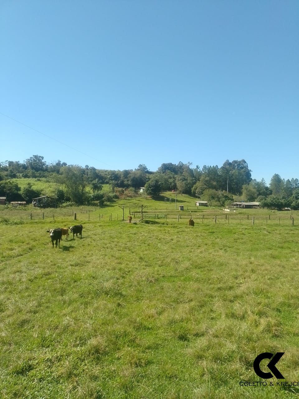 Fazenda à venda com 2 quartos, 42m² - Foto 19