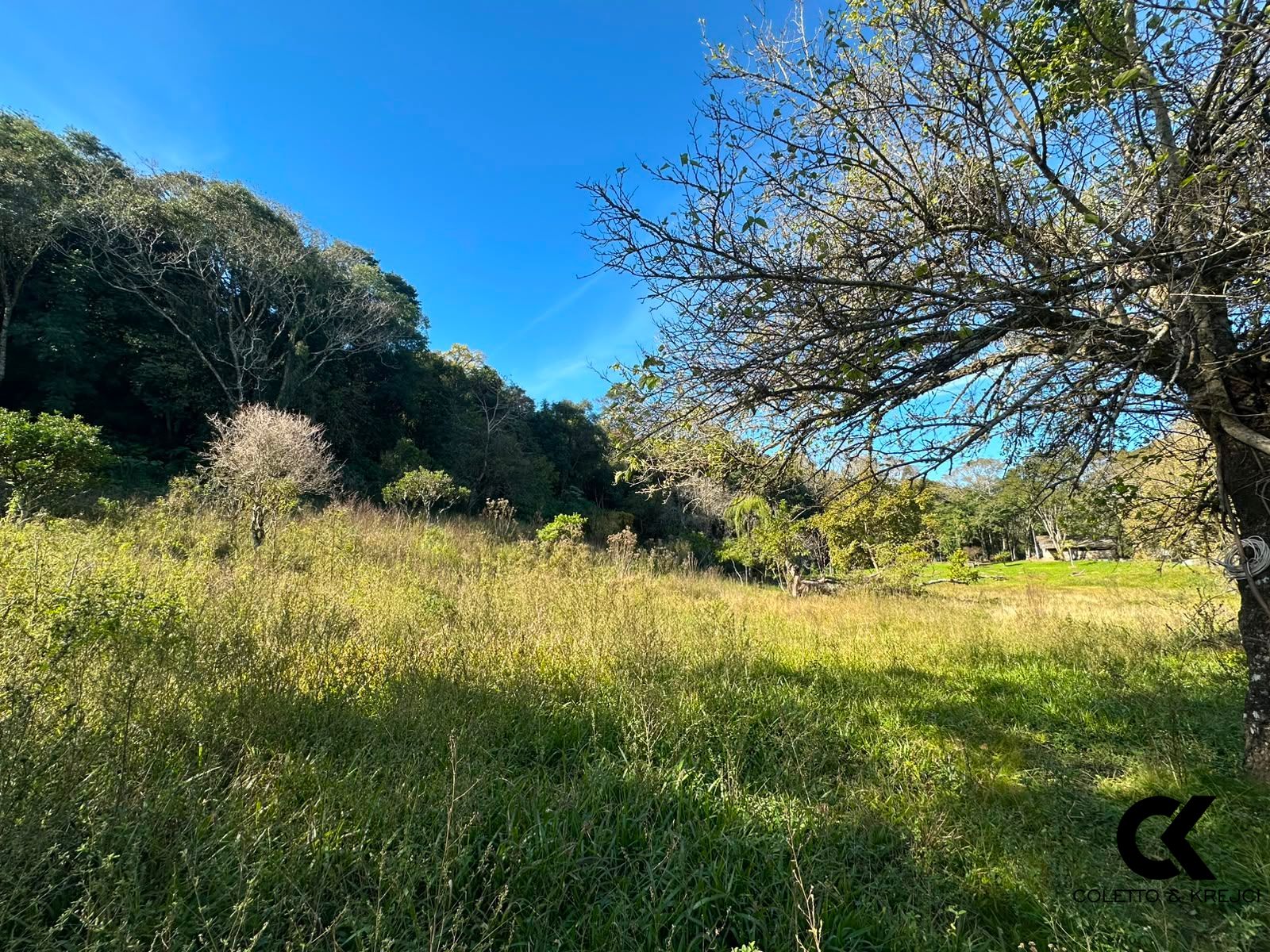 Chácara, 3 hectares - Foto 2