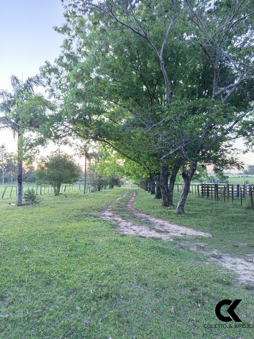 Sítio, 2 quartos, 50000 hectares - Foto 14