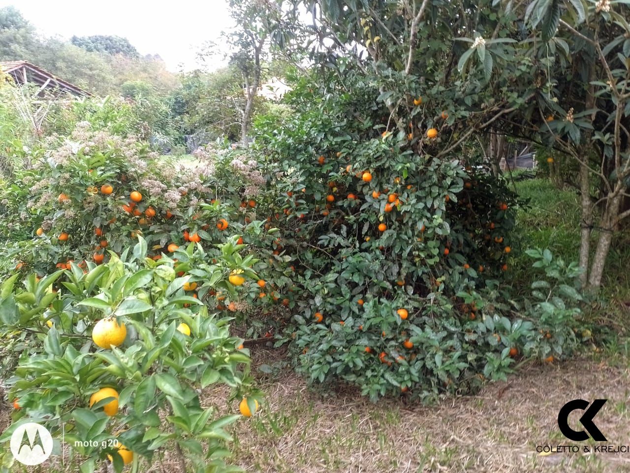 Sítio, 2 quartos, 3500 m² - Foto 11