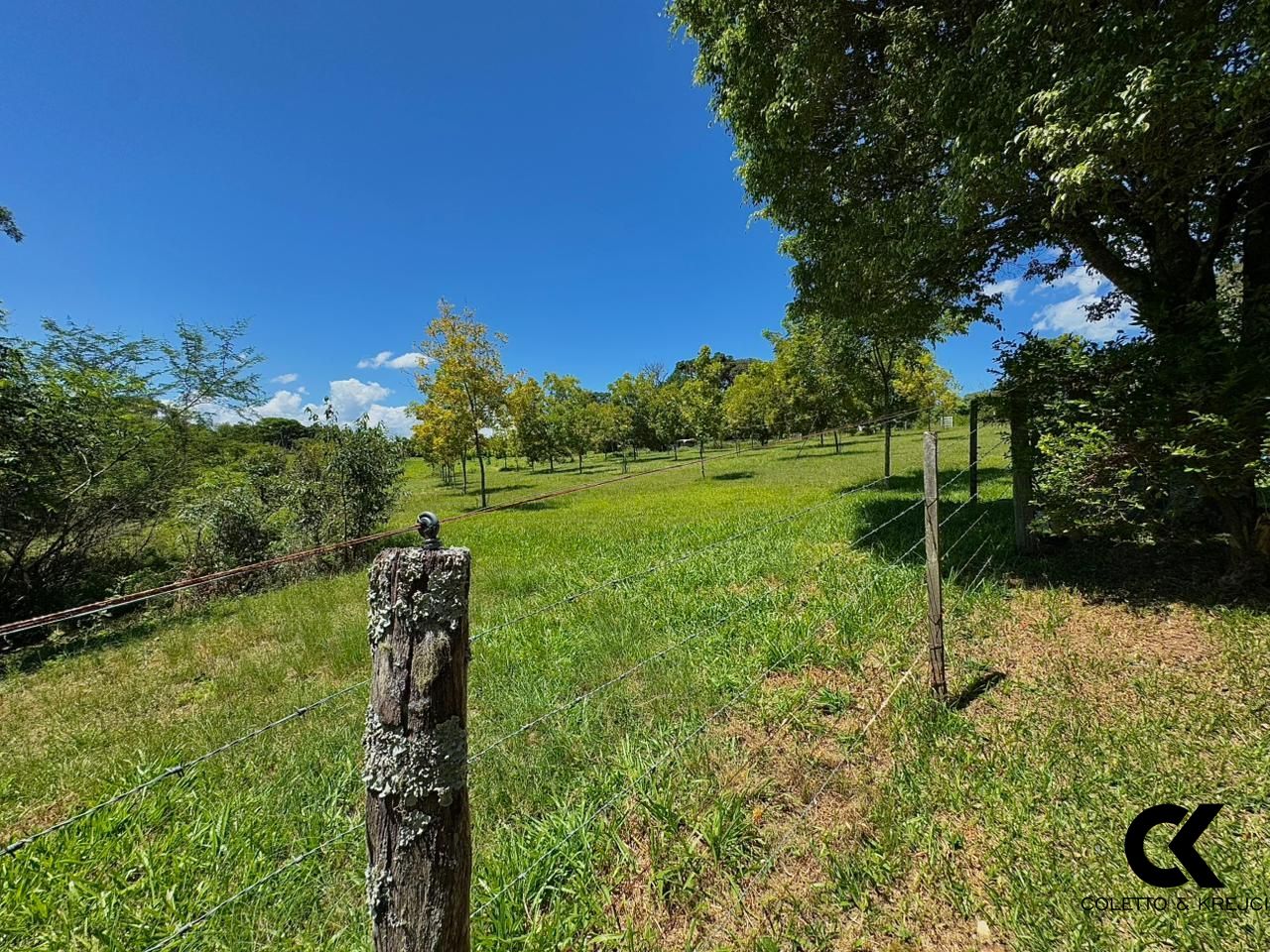 Chácara, 4 quartos, 13 hectares - Foto 11