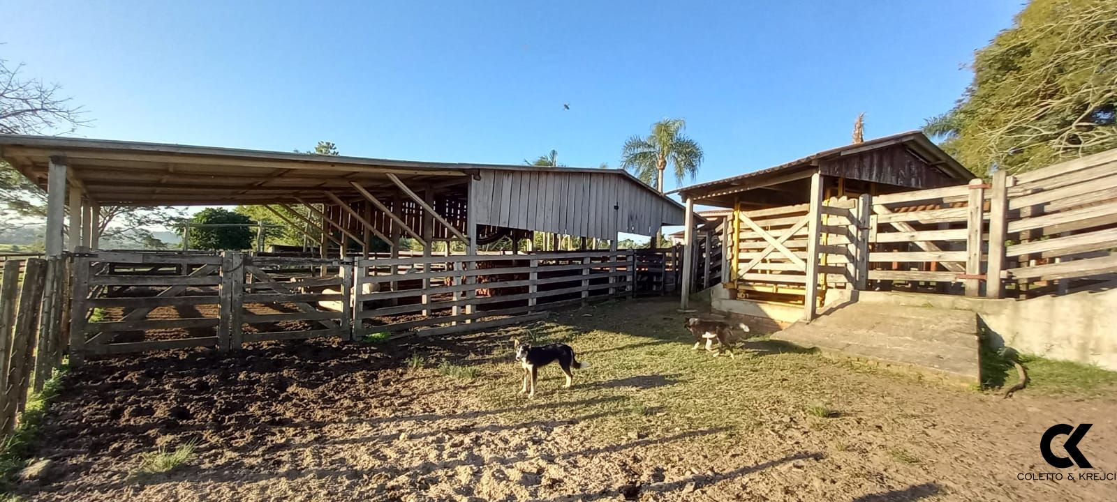 Fazenda à venda com 5 quartos, 700m² - Foto 17