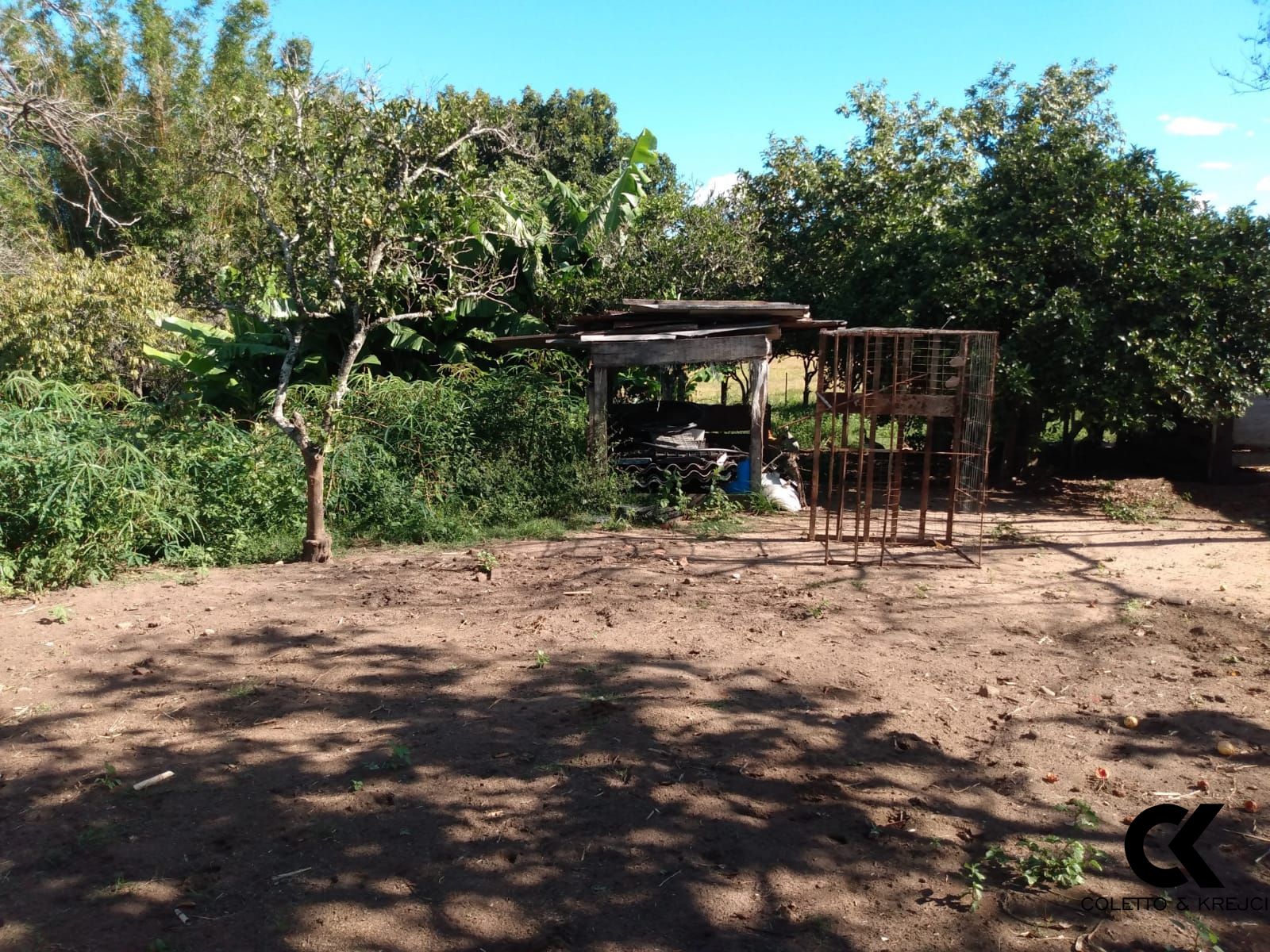 Fazenda à venda com 3 quartos, 30000m² - Foto 10