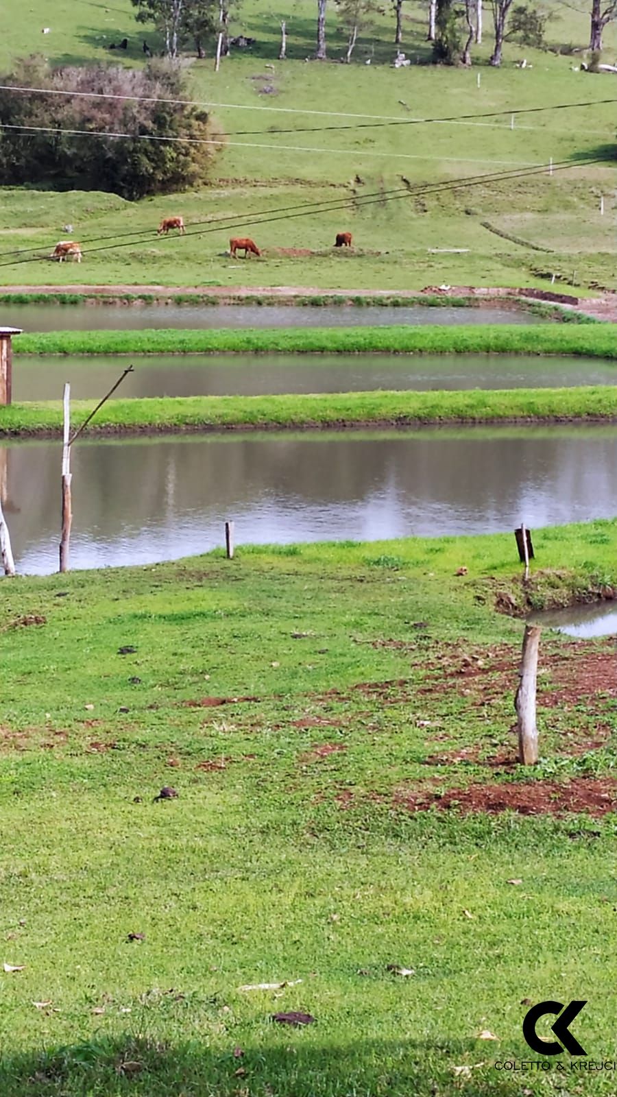 Fazenda à venda com 2 quartos, 42m² - Foto 9