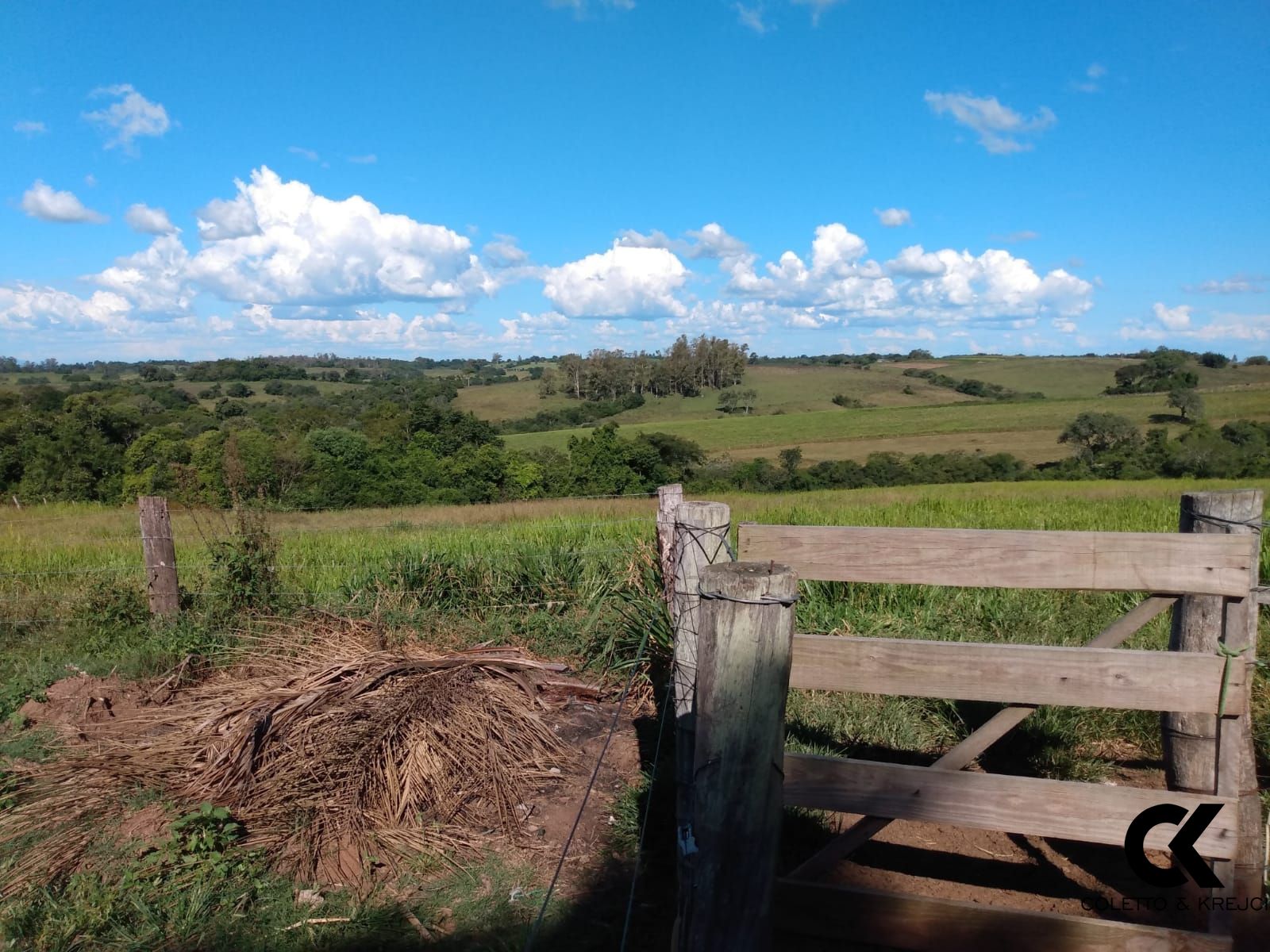 Fazenda à venda com 3 quartos, 30000m² - Foto 18