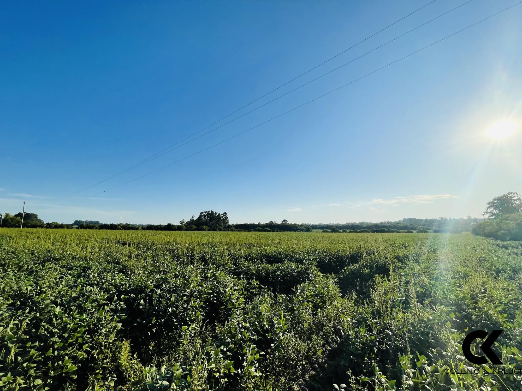 Chácara, 4 hectares - Foto 1