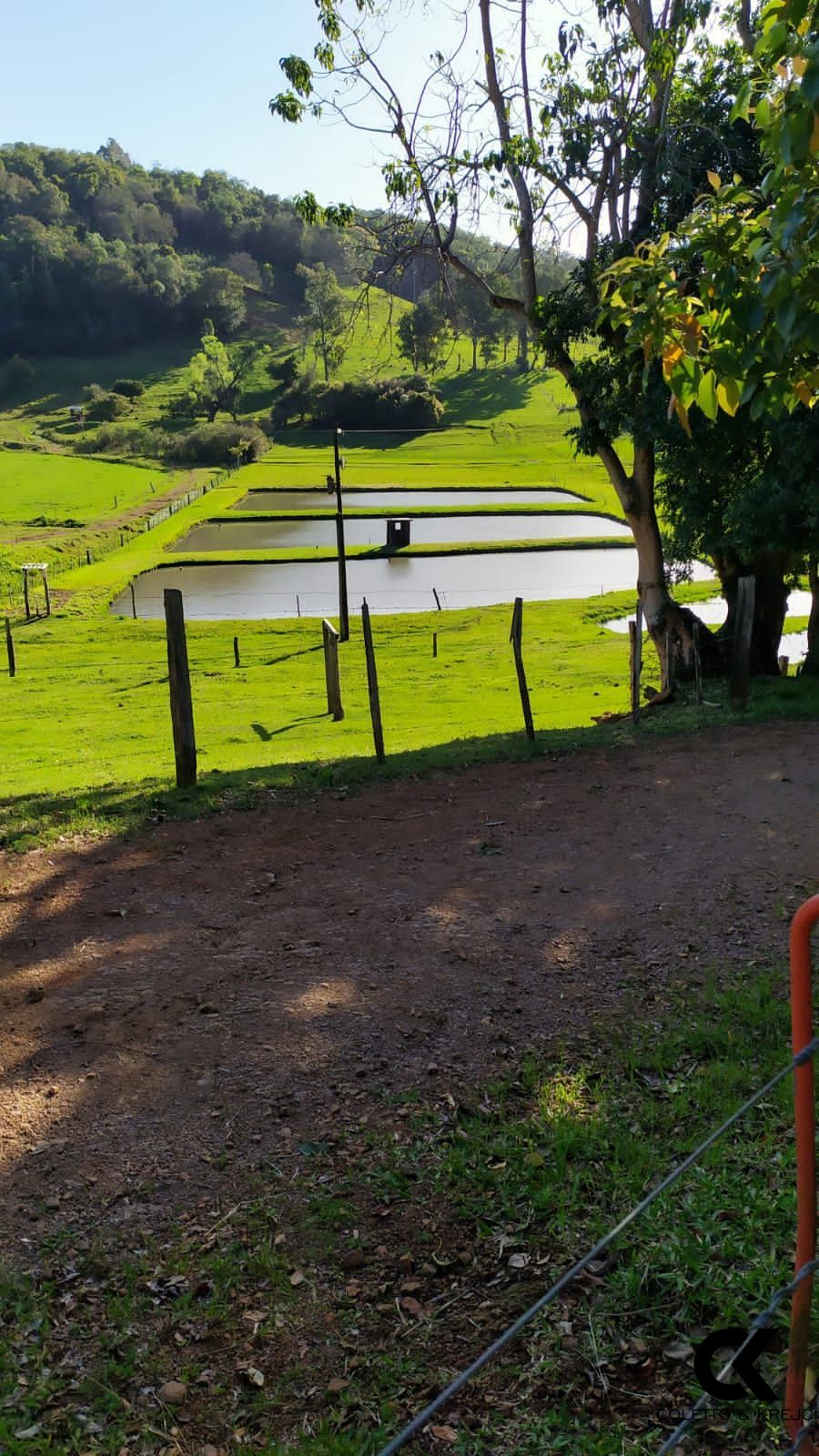 Sítio, 2 quartos, 4 hectares - Foto 4