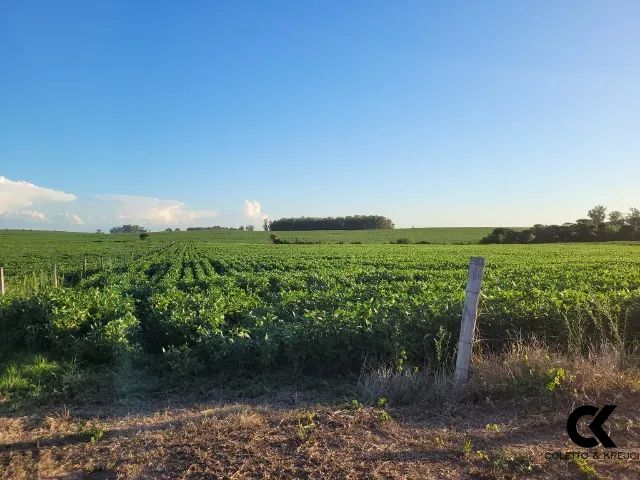 Loteamento e Condomínio à venda com 2 quartos, 70000m² - Foto 4