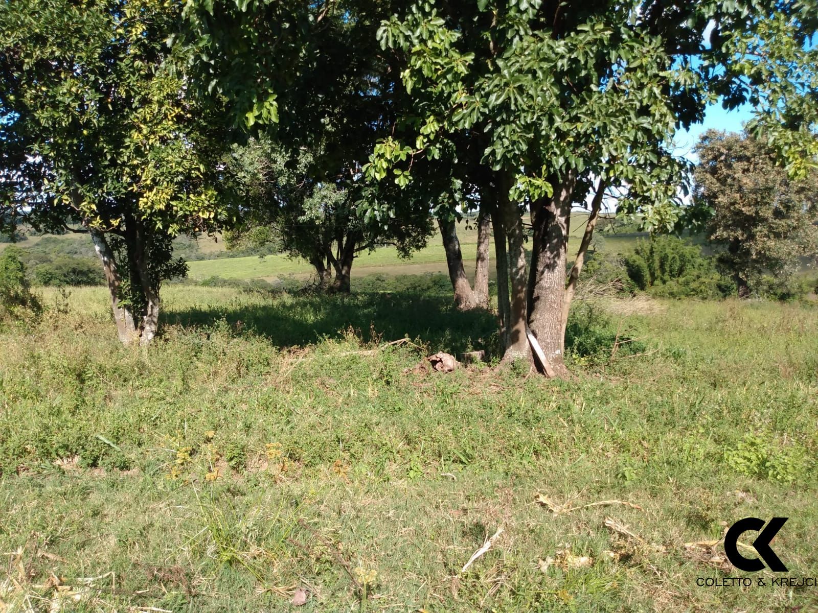 Fazenda à venda com 3 quartos, 30000m² - Foto 11