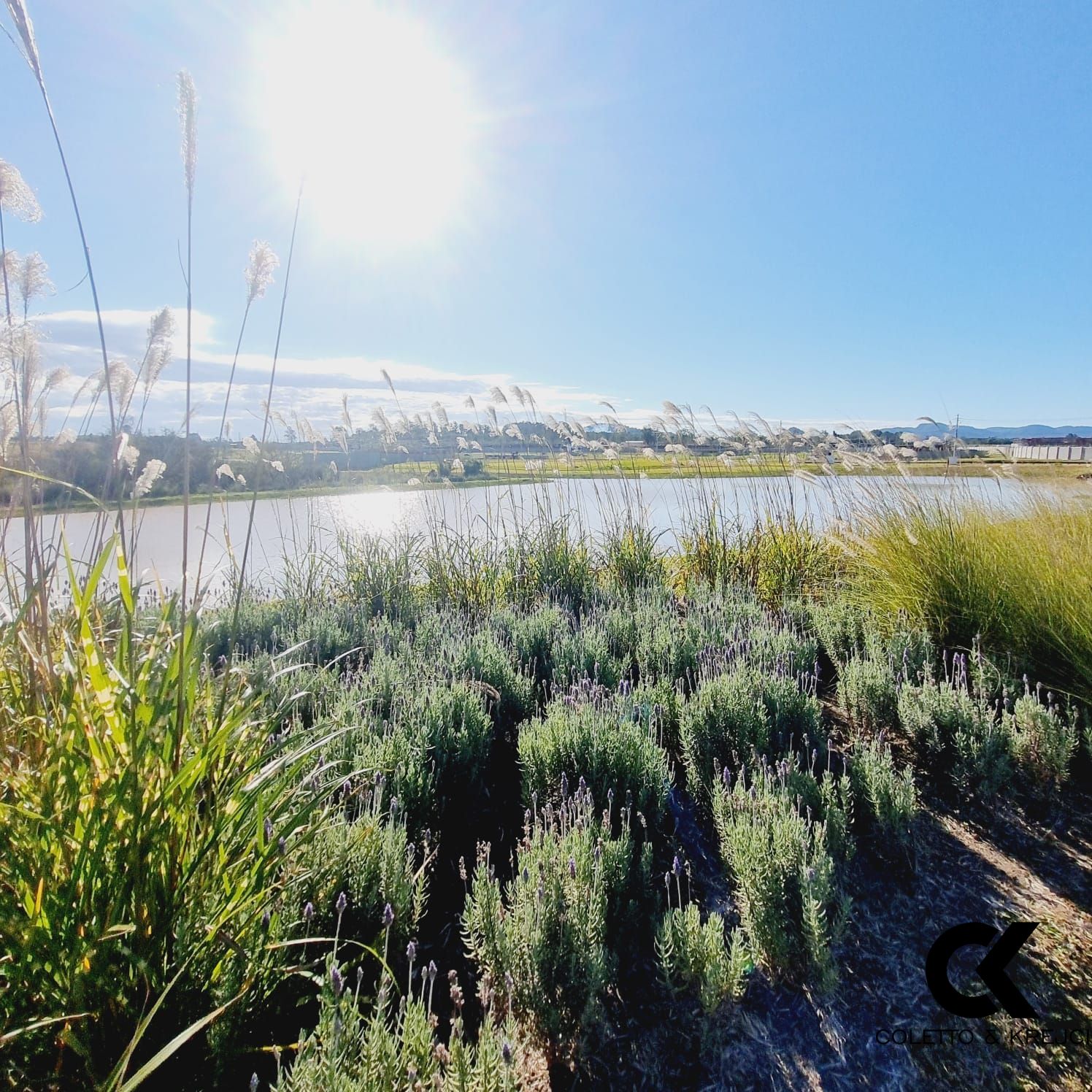 Terreno, 308 m² - Foto 38