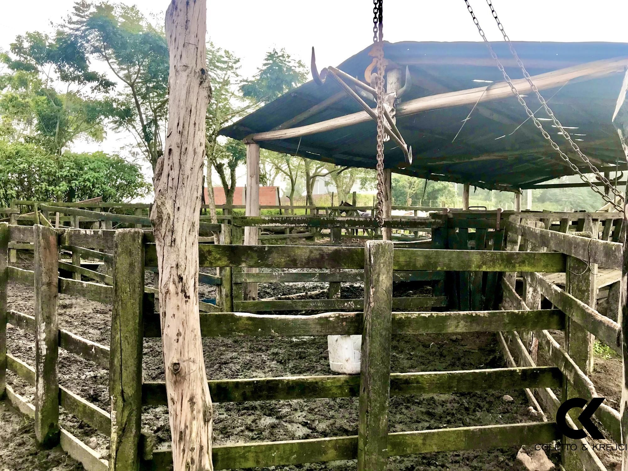 Fazenda à venda com 3 quartos, 185000m² - Foto 10